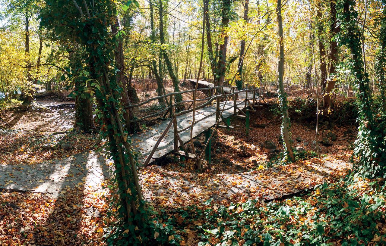 Japodski otoci - Japodia Racic Exteriér fotografie